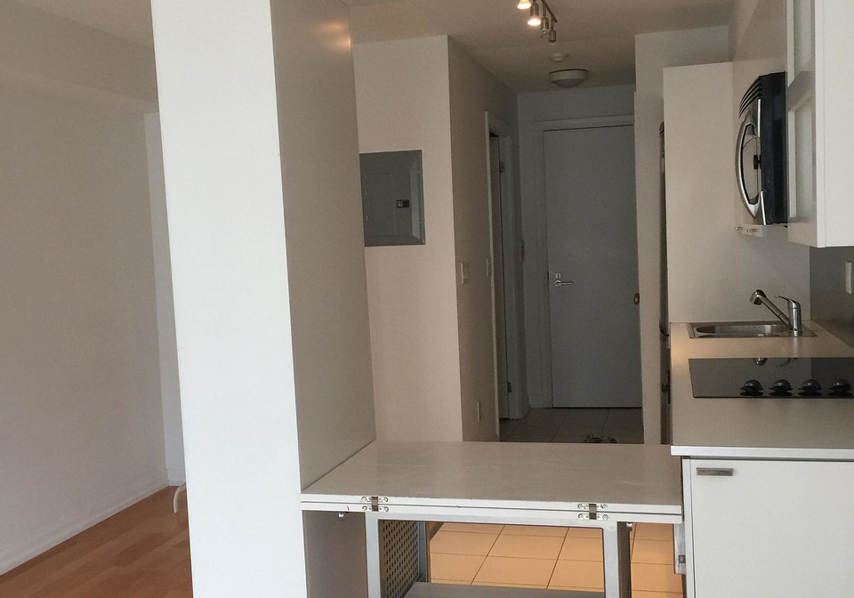 111-elizabeth-street-toronto-toronto-ontario-c13724604