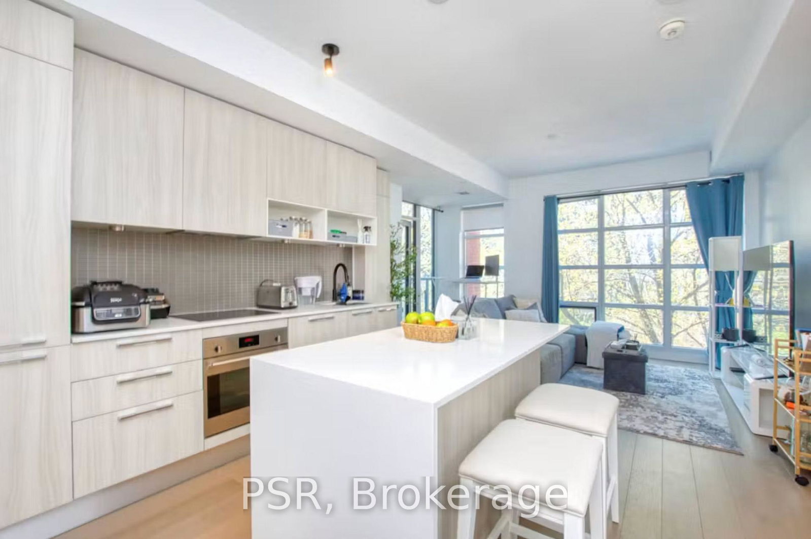 501-adelaide-street-w-toronto-toronto-ontario-c13756090