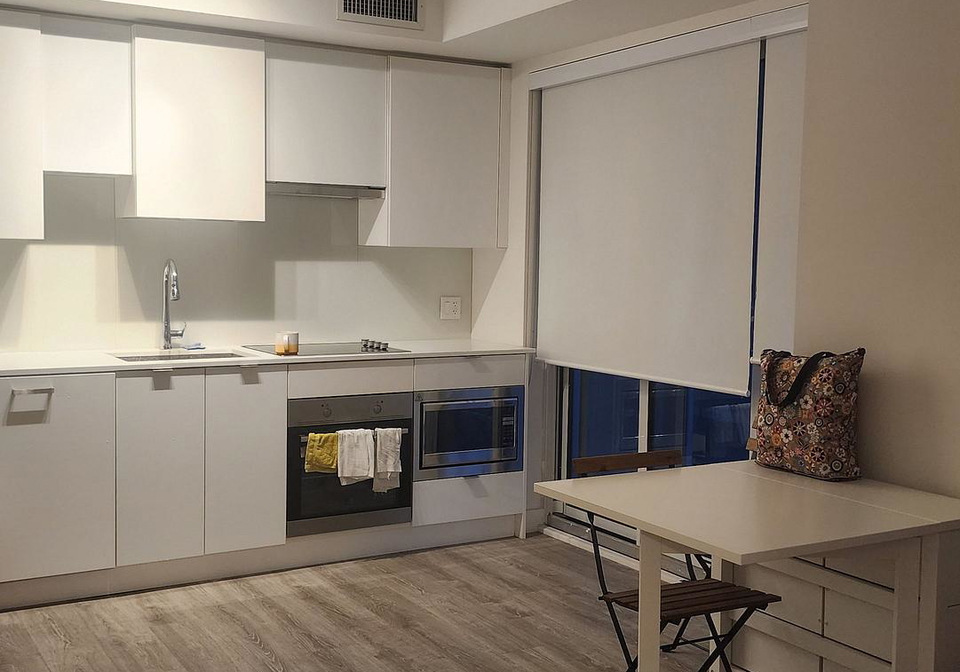 195-redpath-avenue-toronto-toronto-ontario-c13776160