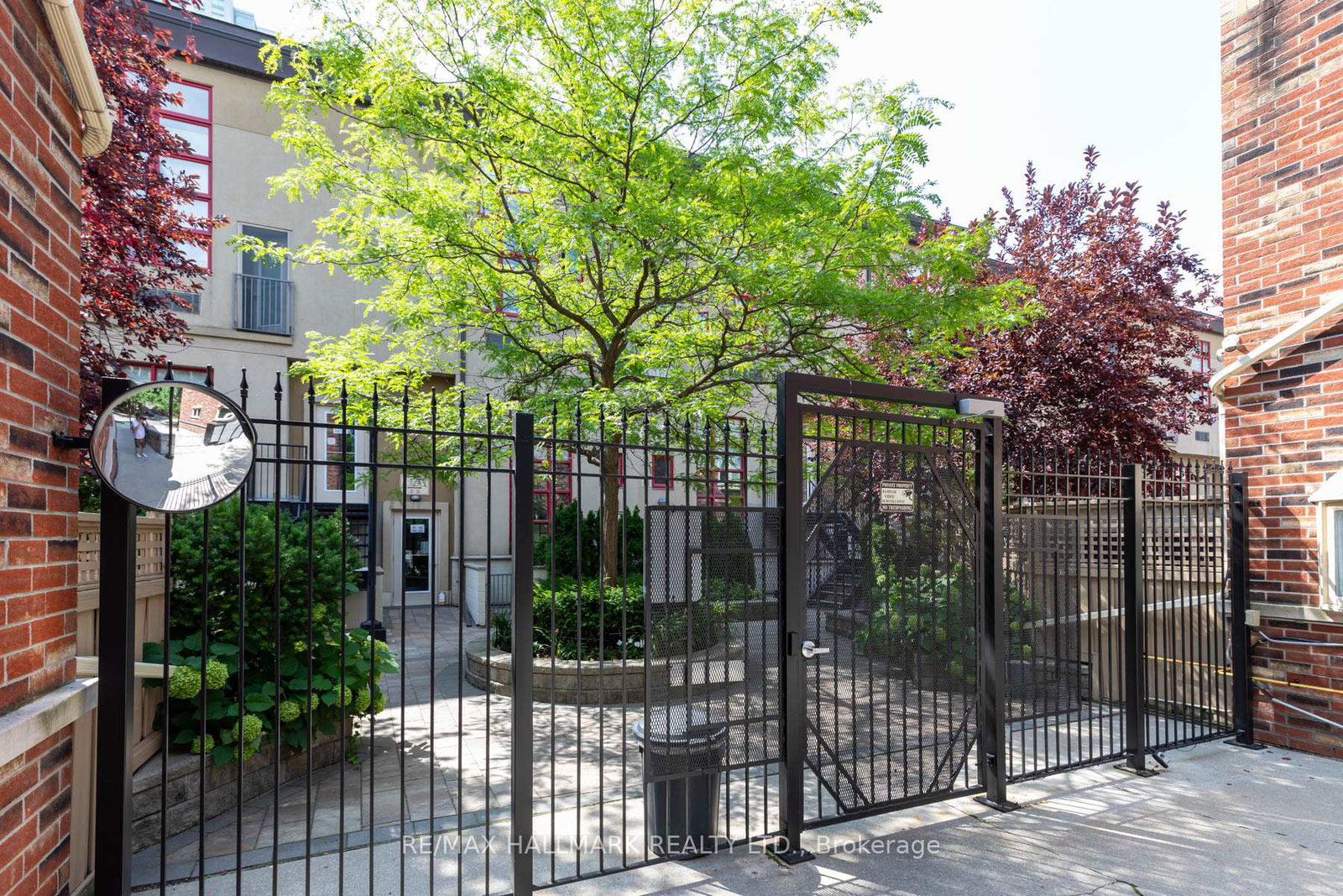 21-earl-street-toronto-toronto-ontario-c13784172