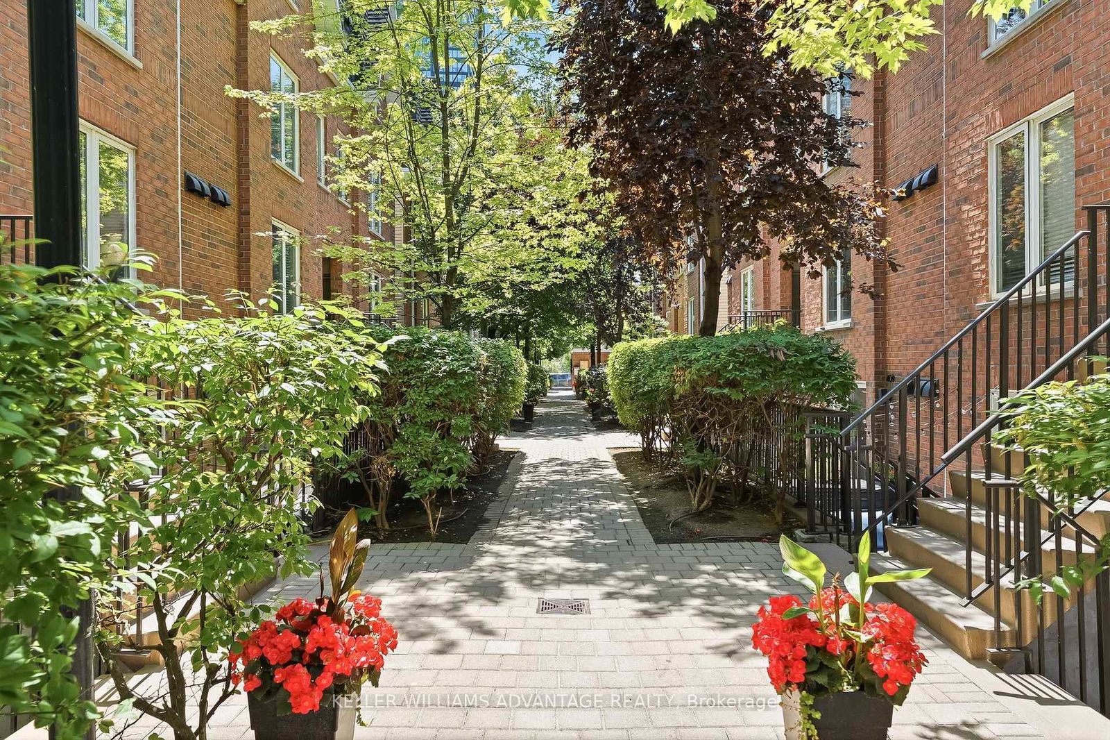29-canniff-street-toronto-toronto-ontario-c13784824