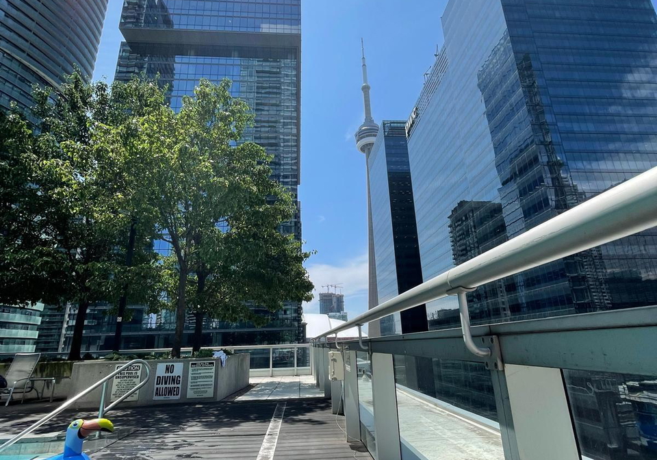 55-bremner-boulevard-toronto-toronto-ontario-c13786746