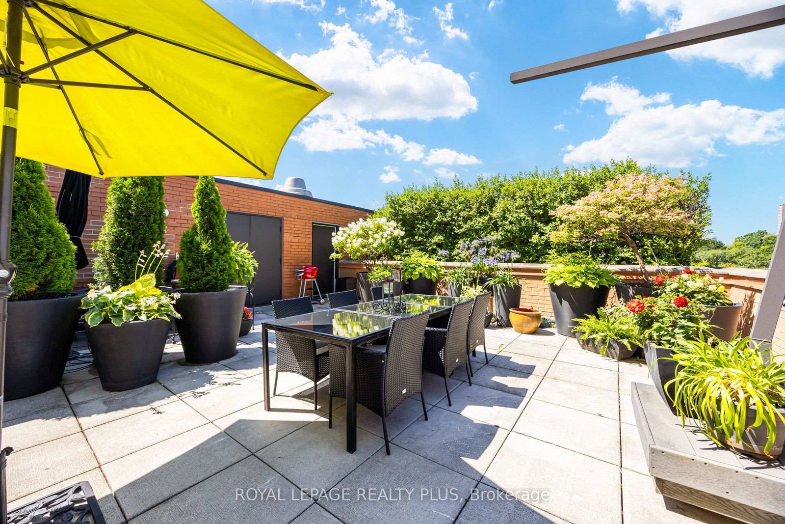 260-heath-street-w-toronto-toronto-ontario-c13789780
