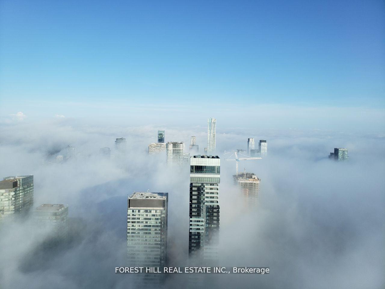 388-yonge-street-toronto-toronto-ontario-c13816256