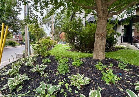 10-lascelles-boulevard-toronto-toronto-ontario-c13816944