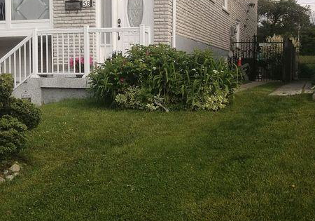 58-bedle-avenue-toronto-north-york-ontario-c13817858