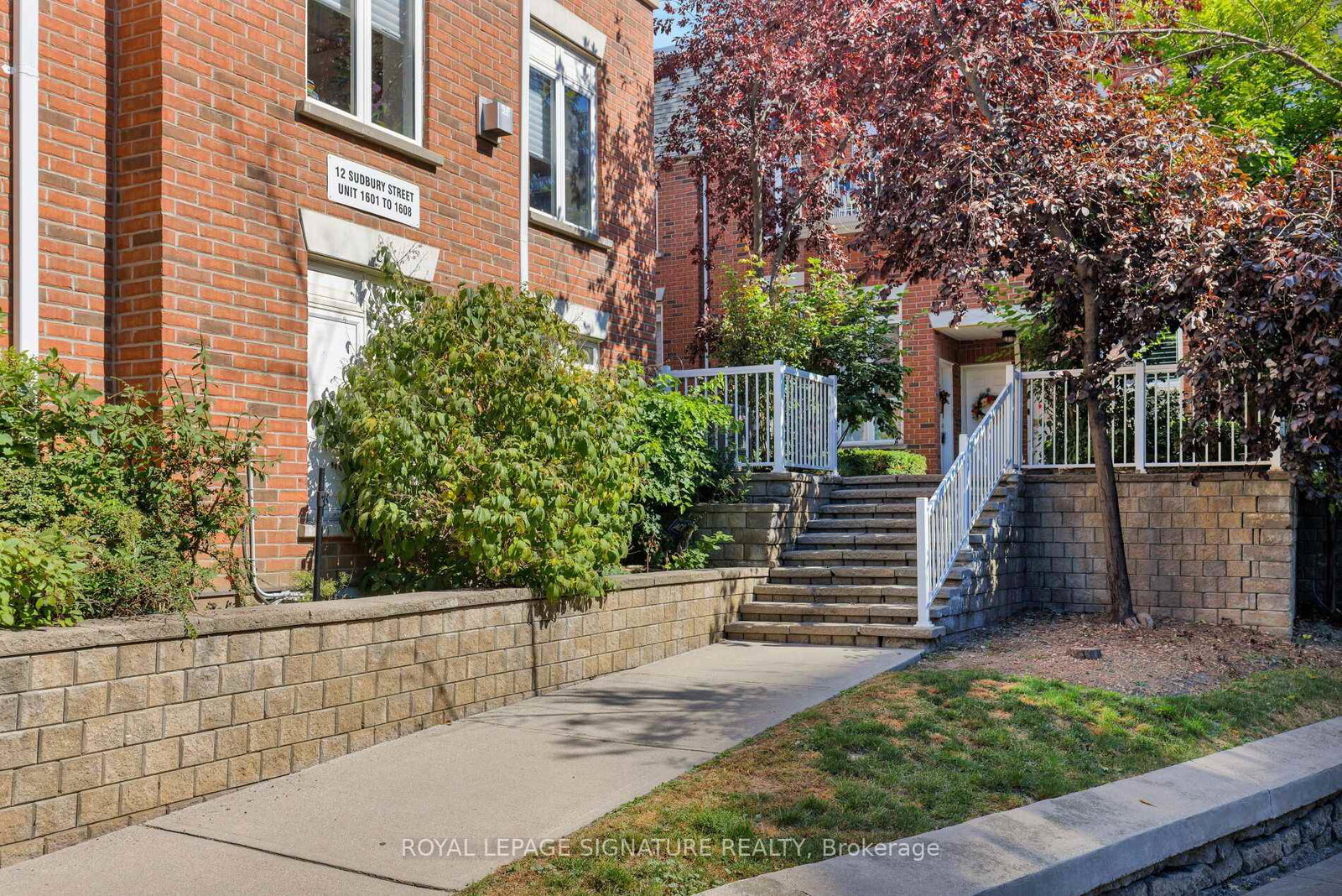 12-sudbury-street-toronto-toronto-ontario-c13823940