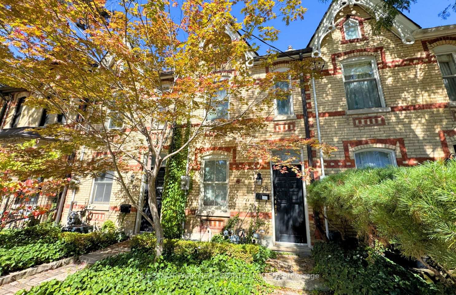 68-belmont-street-toronto-toronto-ontario-c13826192