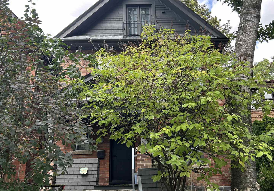 63-hilton-avenue-toronto-toronto-ontario-c13833320