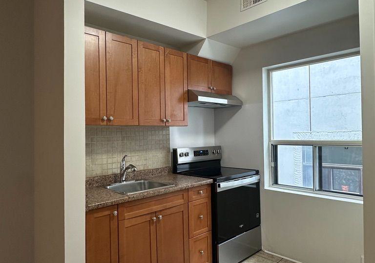 249-augusta-avenue-toronto-toronto-ontario-c13836522