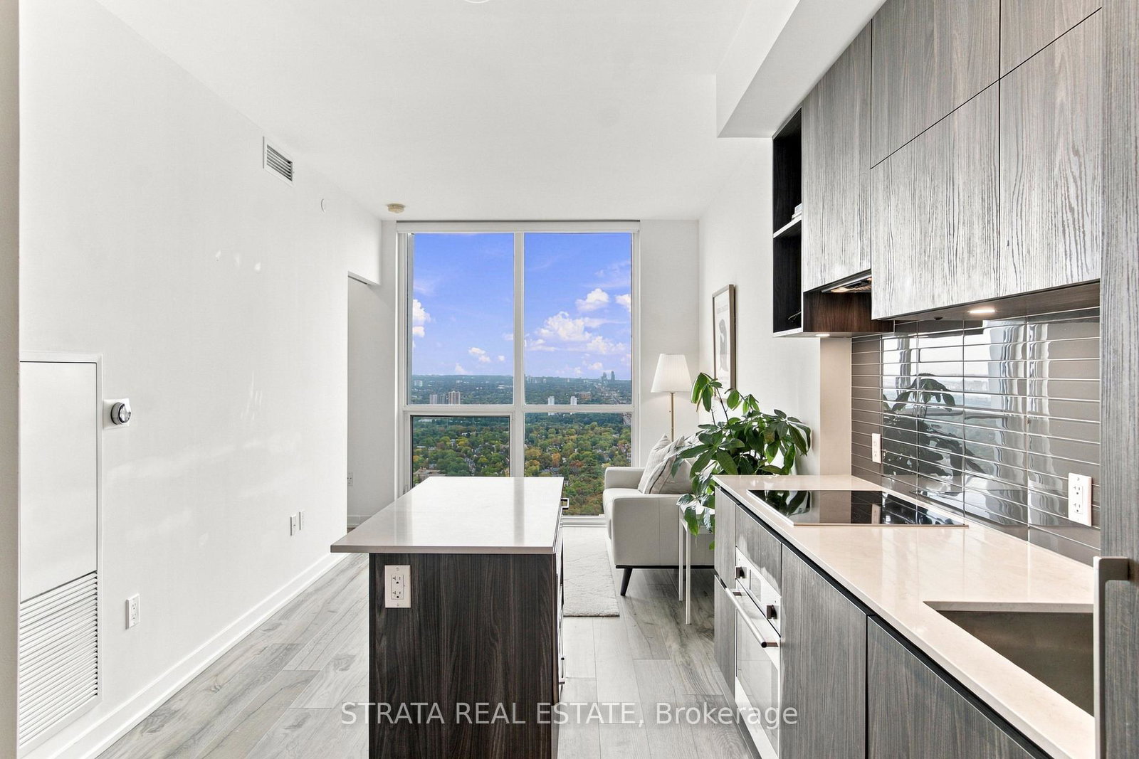 1-yorkville-avenue-toronto-toronto-ontario-c13842862
