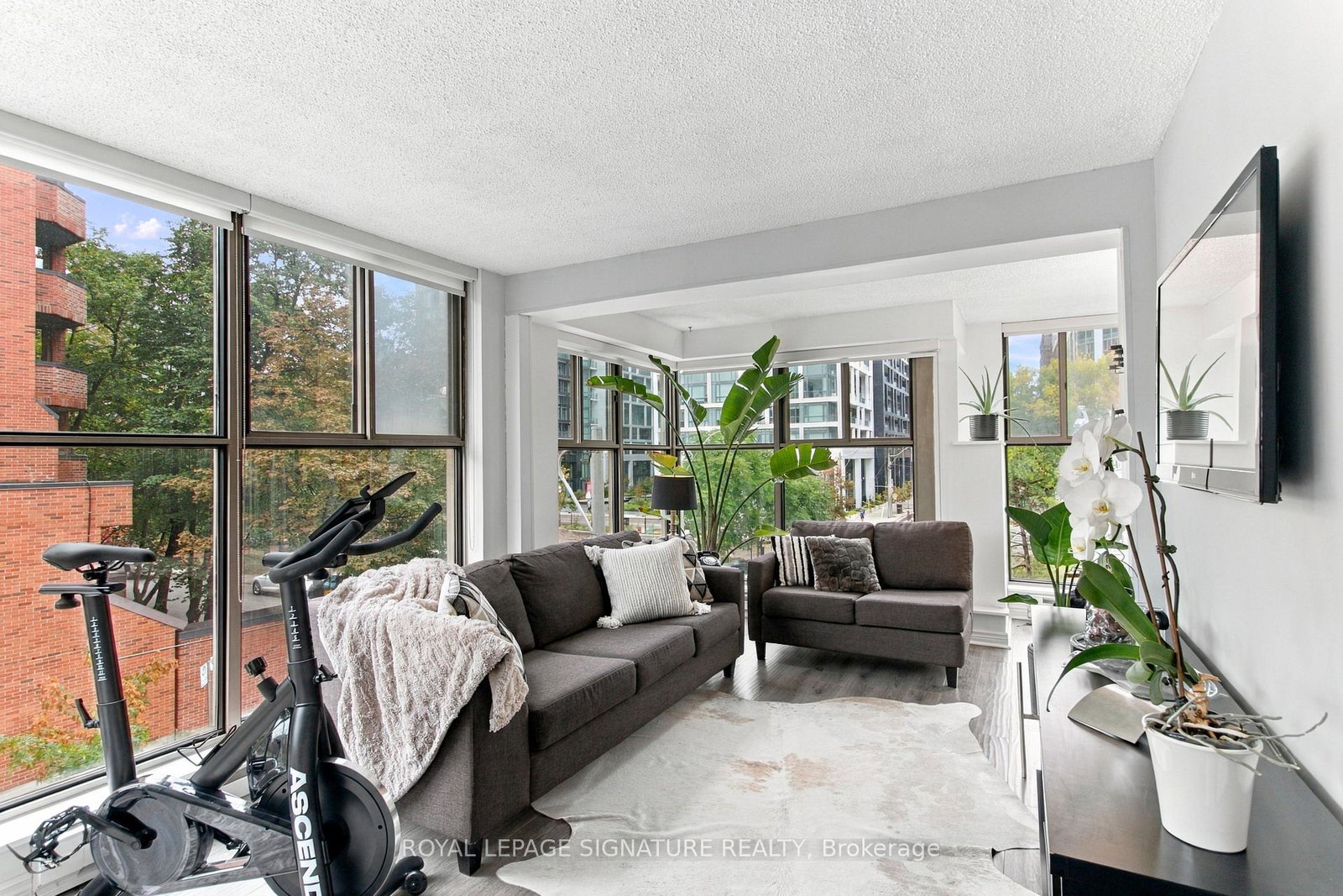 65-scadding-avenue-toronto-toronto-ontario-c13844072