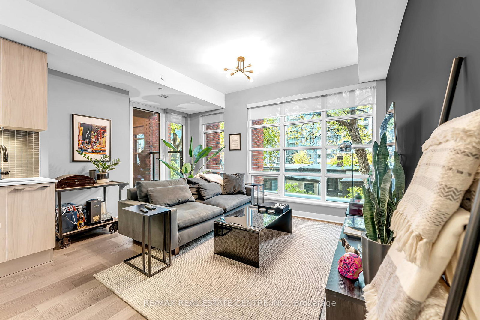 501-adelaide-street-w-toronto-toronto-ontario-c13855736
