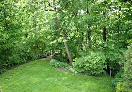 36-gwendolen-crescent-toronto-ontario-c2202773