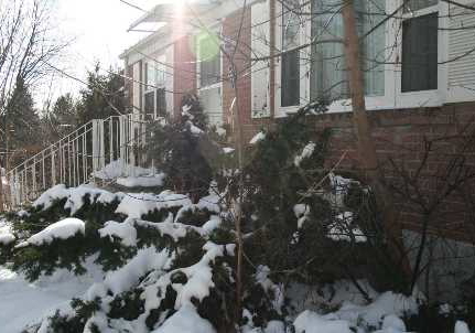 24-eldora-avenue-toronto-ontario-c2531529