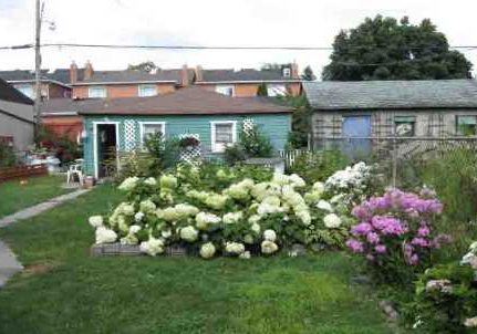 89-bellwoods-avenue-toronto-ontario-c2698555