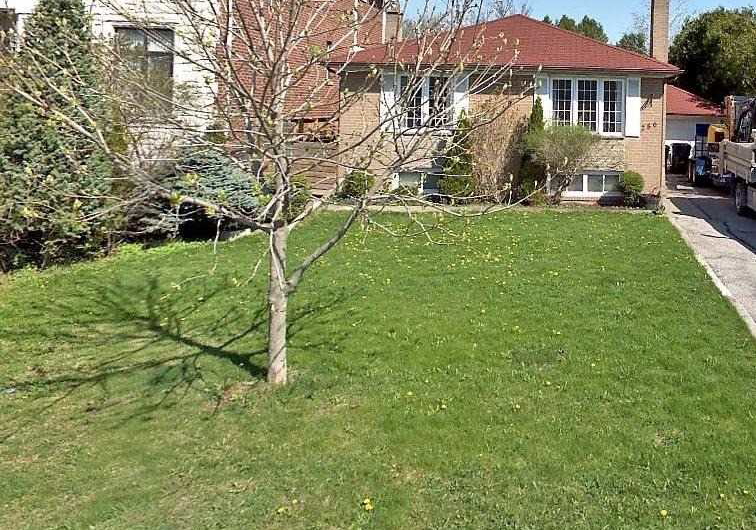 256-patricia-avenue-toronto-ontario-c5098415