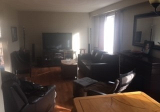 256-patricia-avenue-toronto-ontario-c5098415