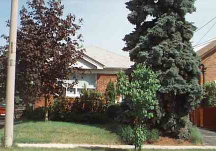 182-florence-avenue-toronto-ontario-c556391
