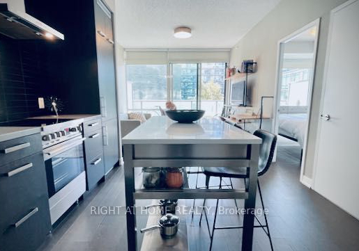 455-front-street-toronto-ontario-c6768214