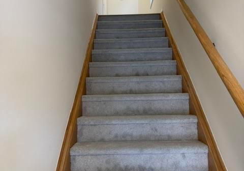255-mclevin-avenue-scarborough-ontario-e12026633