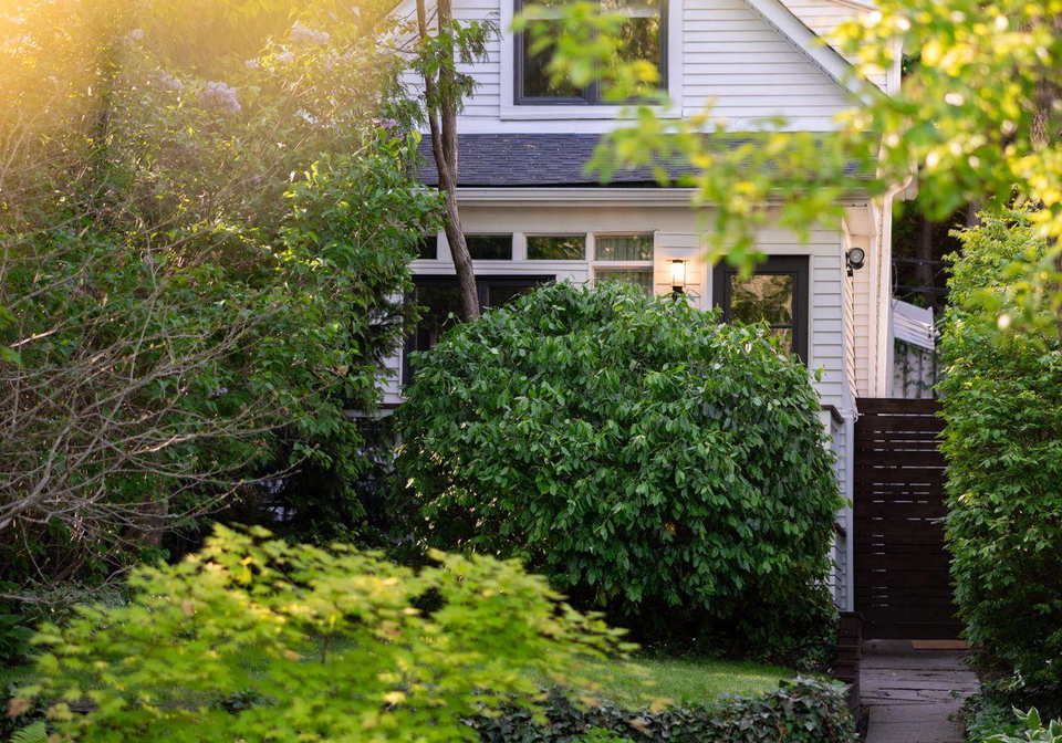 40-ivy-avenue-toronto-ontario-e12194582