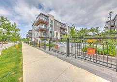 60-morecambe-gate-scarborough-ontario-e12217920