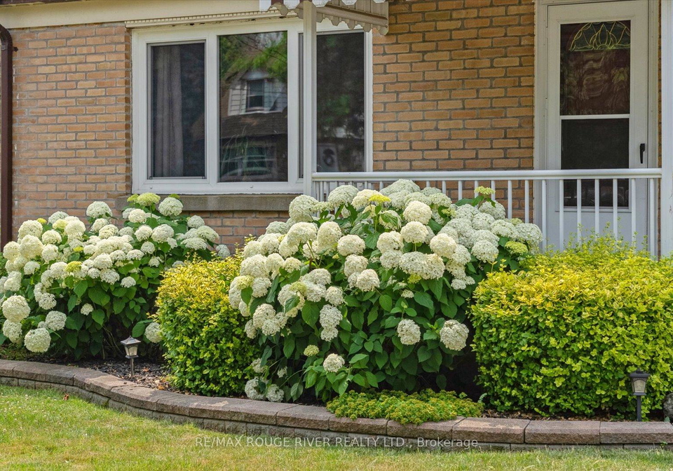 81-kawartha-avenue-oshawa-ontario-e12285411