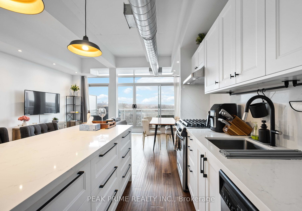 233-carlaw-avenue-s-s-toronto-ontario-e12294118