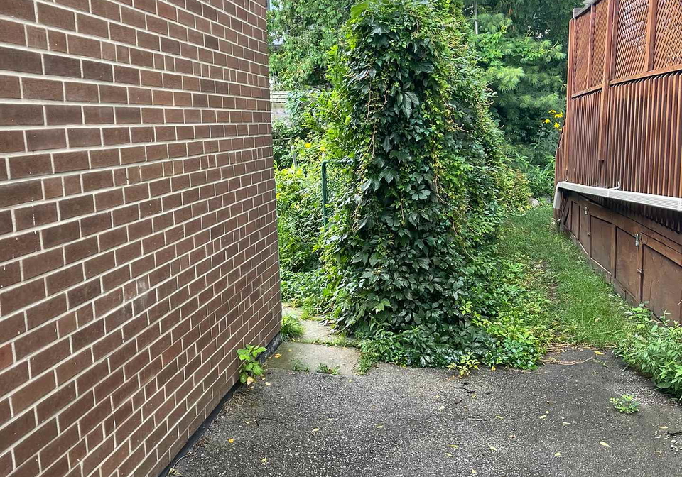 24-crewe-avenue-east-york-ontario-e12335706