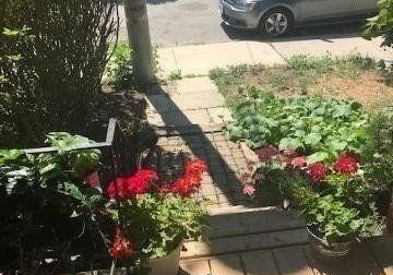 79-berkshire-avenue-toronto-ontario-e12375838