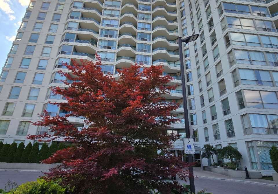 4727-sheppard-avenue-e-scarborough-ontario-e12399844