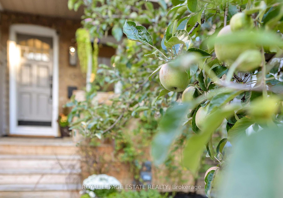 13-eastdale-avenue-east-york-ontario-e12463163