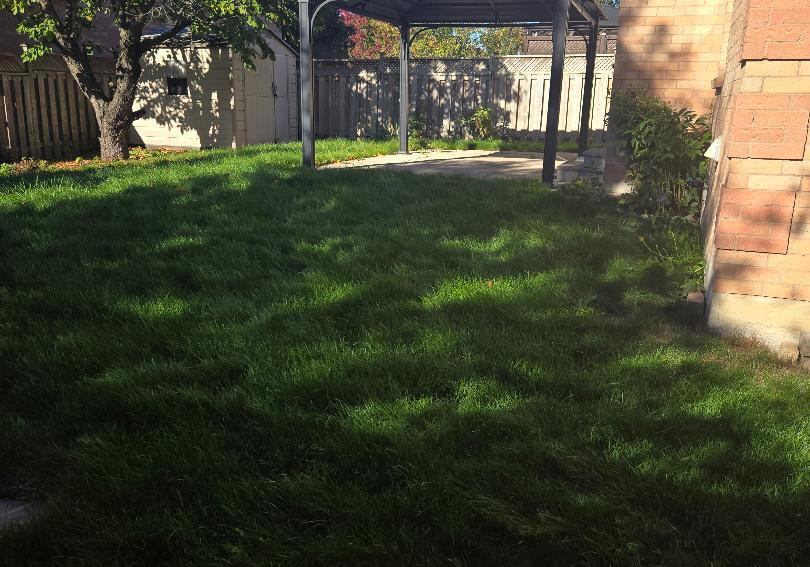 303-delaney-upper-drive-ajax-ontario-e12473258