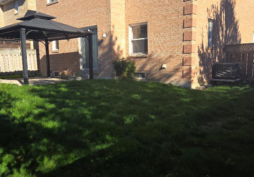 303-delaney-upper-drive-ajax-ontario-e12473258