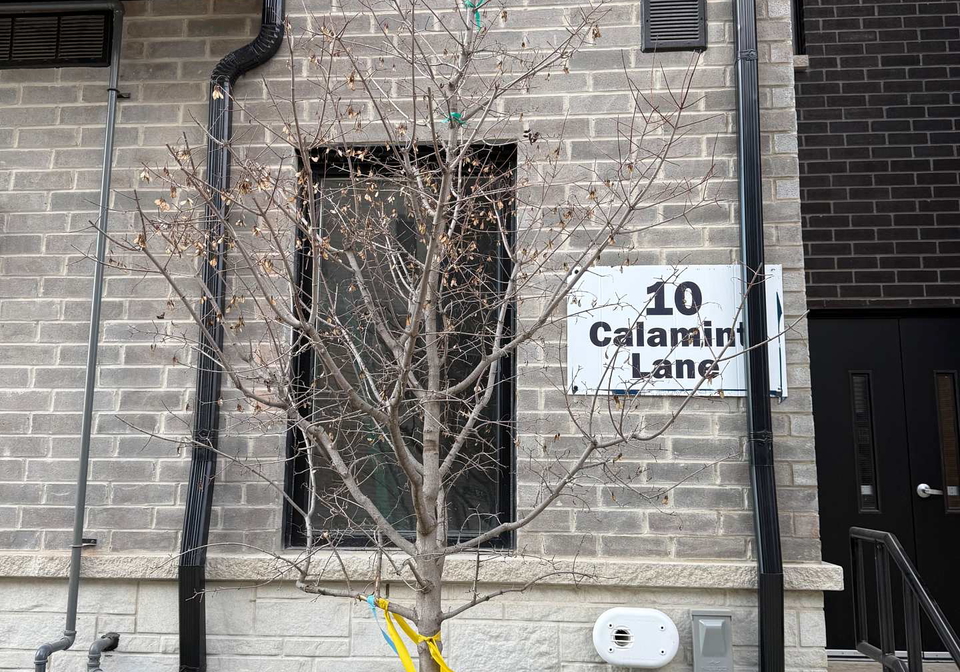 10-calamint-lane-scarborough-ontario-e12565066