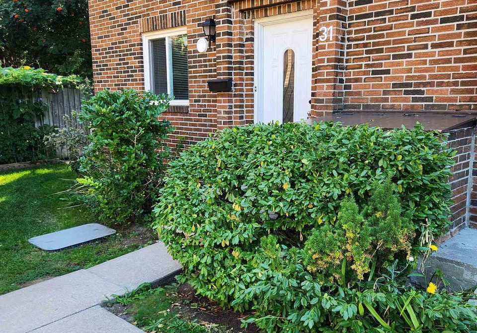 72-dusay-place-scarborough-ontario-e12602368