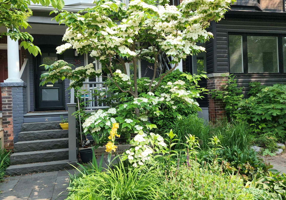36-hazelwood-avenue-toronto-ontario-e12720312