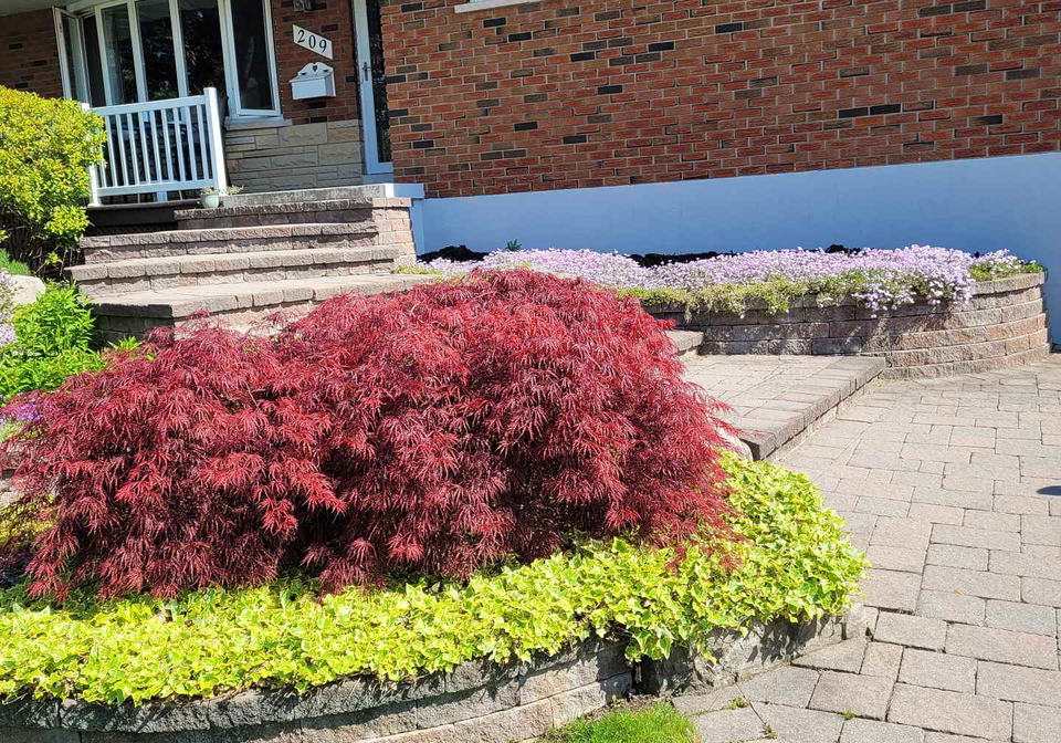 209-johnson-avenue-whitby-ontario-e12722710