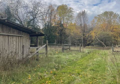 7574-white-road-clarington-ontario-e12791350