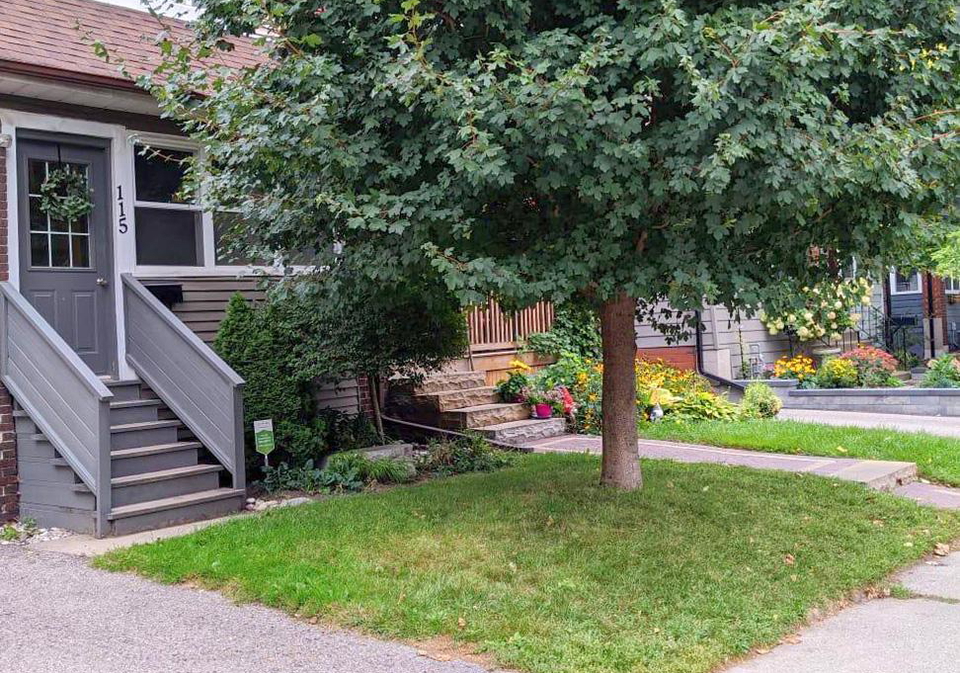115-hiltz-avenue-toronto-ontario-e12798460