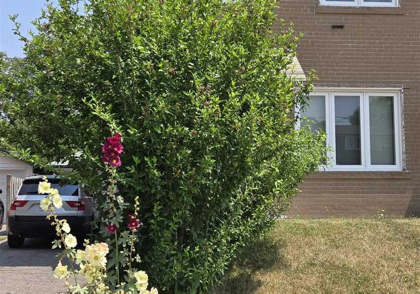103-bergen-road-scarborough-ontario-e12809936