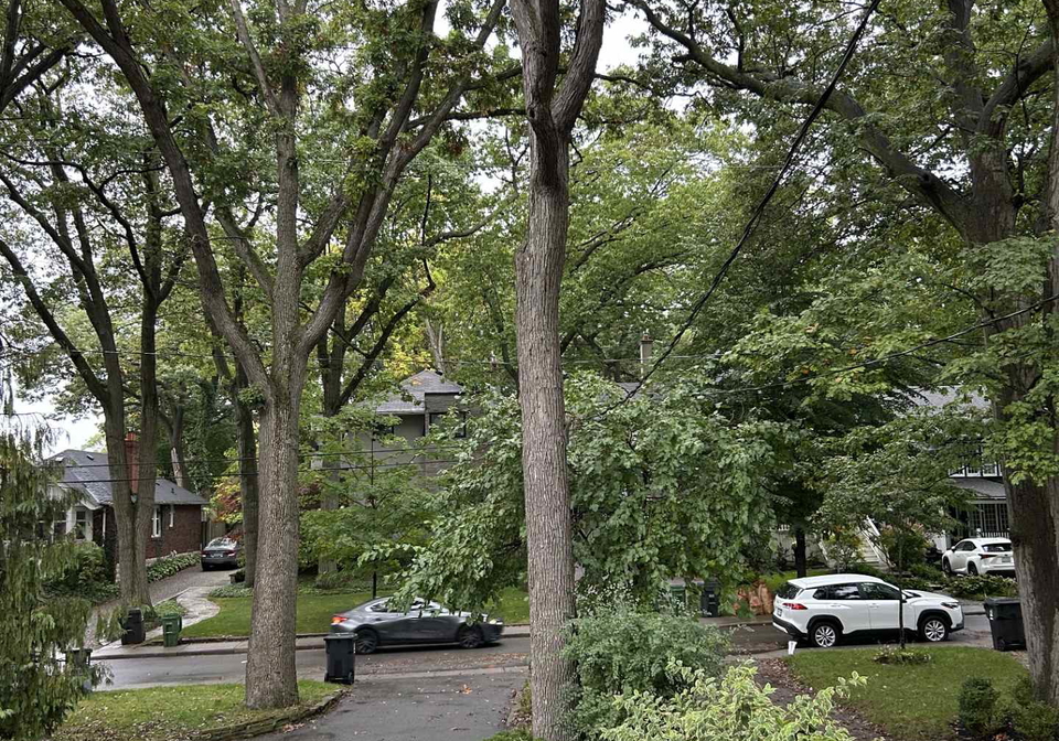 249-beech-avenue-toronto-ontario-e12848588
