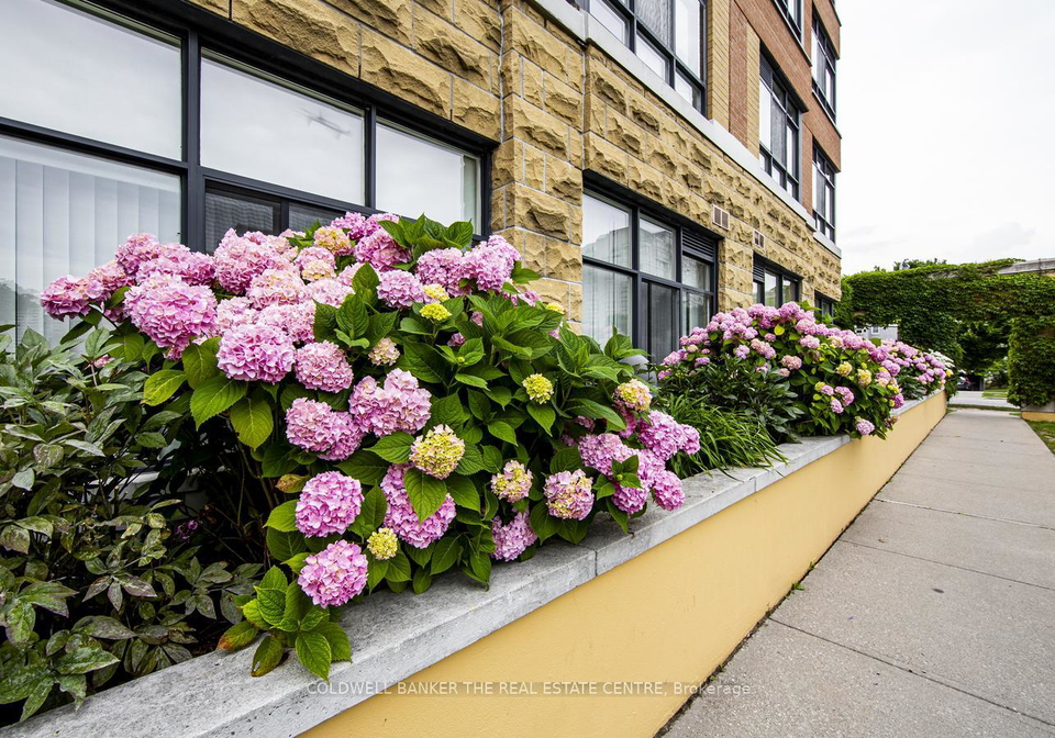115-bonis-avenue-scarborough-ontario-e12860094