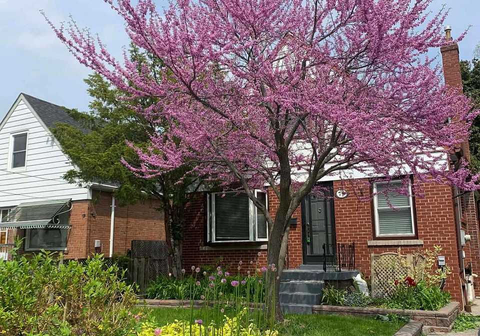 79-ellington-drive-scarborough-ontario-e12931182
