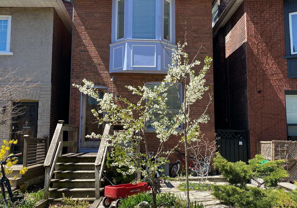 88-prust-avenue-toronto-ontario-e12931422