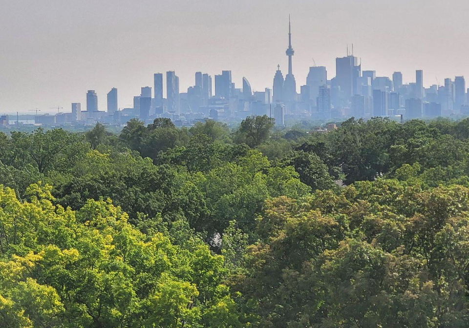 2369-danforth-avenue-toronto-ontario-e12938532