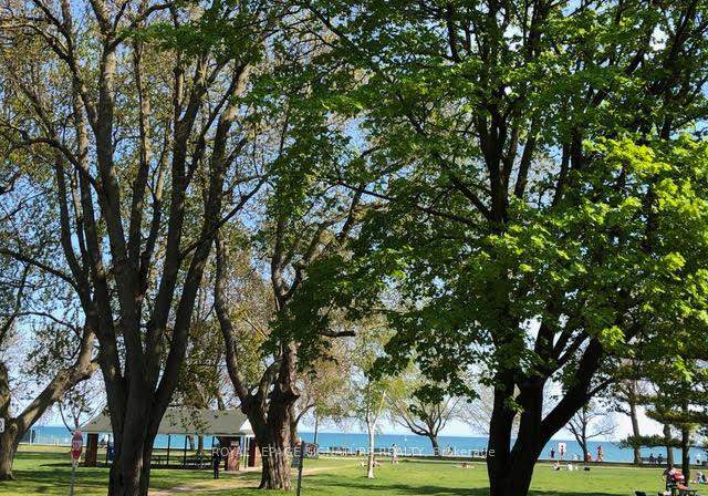 20-kew-beach-avenue-toronto-ontario-e12945870