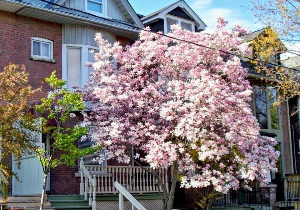 26-sparkhall-avenue-toronto-ontario-e13004030