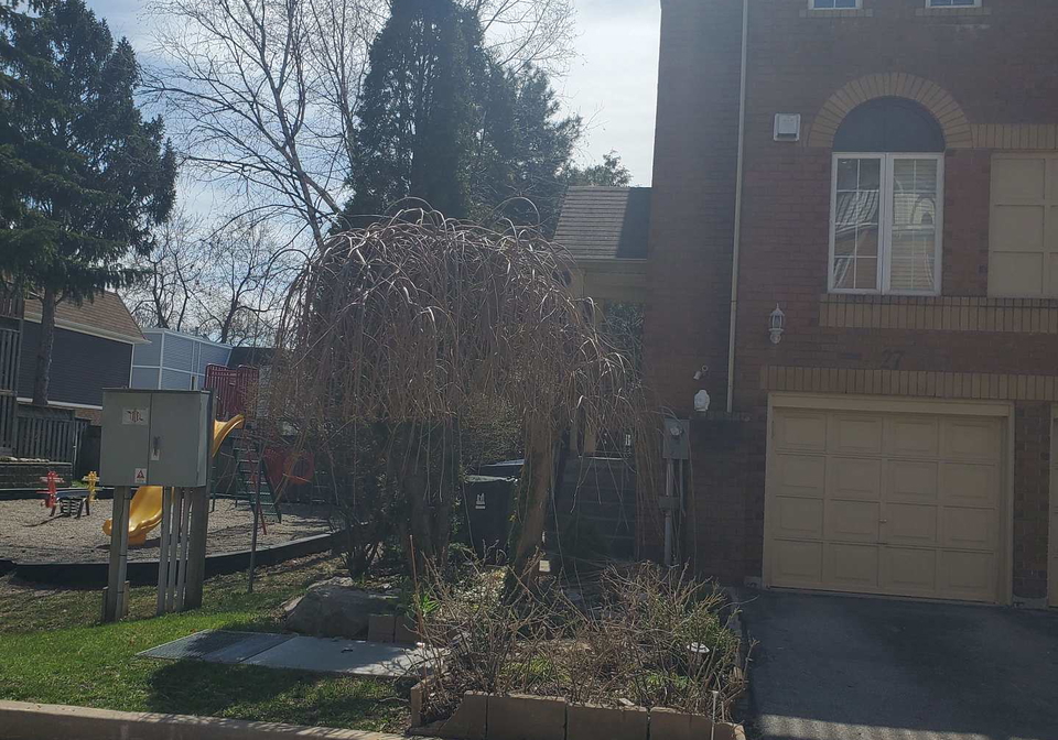 189-galloway-road-scarborough-ontario-e13098172